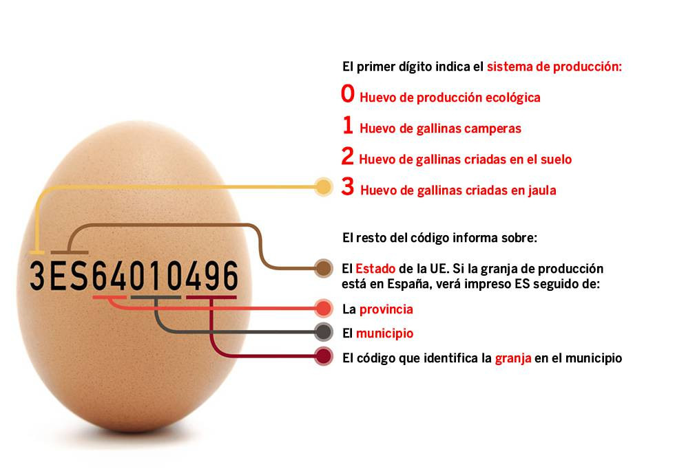 Empresas de Huevos frescos de Gallina